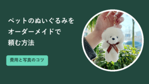 ペットのぬいぐるみをオーダーメイドで頼む方法｜費用と写真のコツ